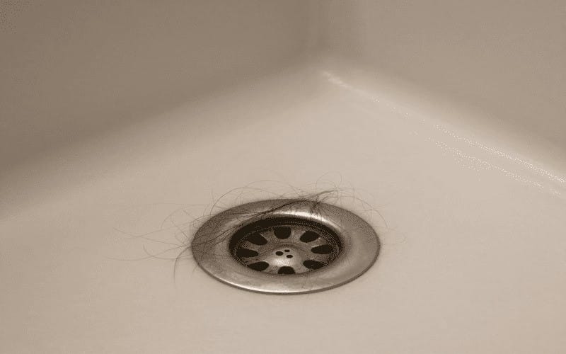 Hair strands in shower drain showing daily hair shedding