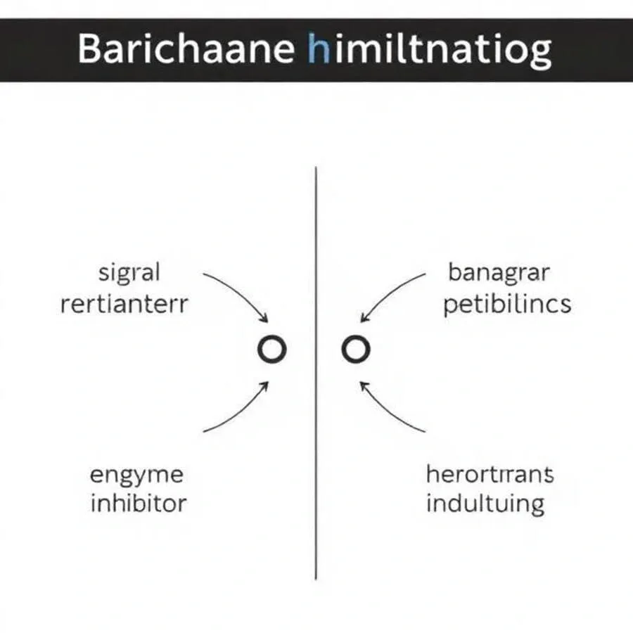 Different types of peptides used in skincare for anti aging